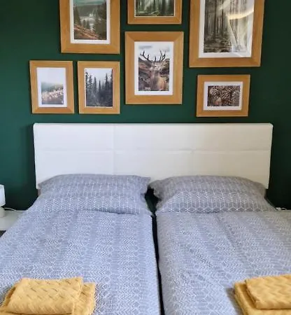 Apartment U Ludvicka *